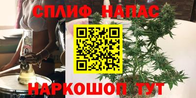 PSILOCYBIN Краснодар