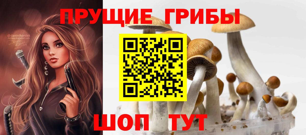 Псилоцибиновые грибы Psilocybine cubensis  Вход с VPN  Ипатово  Галлюциногенные грибы Magic Shrooms 